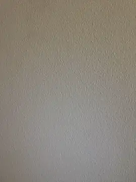 Lara_petit