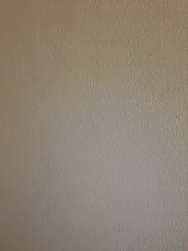 Lara_petit