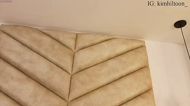 Kimhilton_ - Plug toy