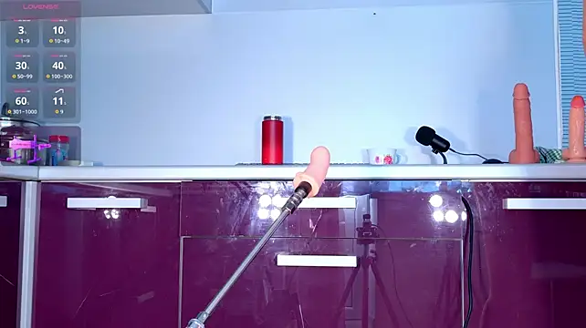 b_a_n_s_h_e_e