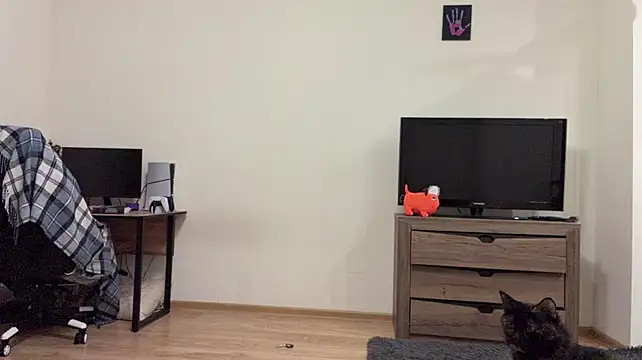 PaintedDisplay - Stand up?<3