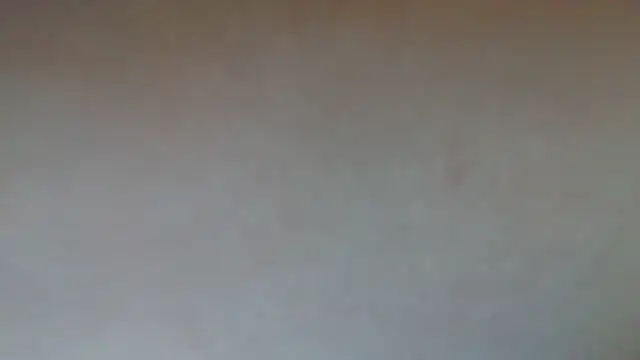AverageRose - LARGE WHEEL SPIN