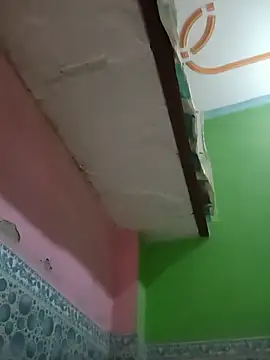 DESI_Love