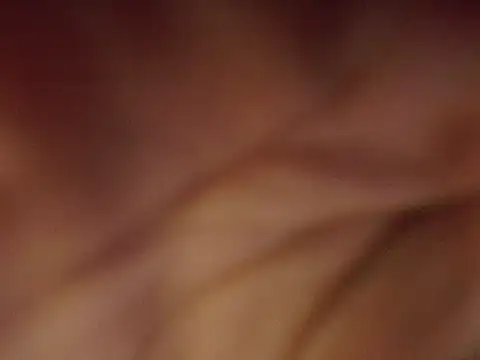 Asiansendy69xxx - RIDE DILDO+RUB PUSSY +SPREAD ASS
