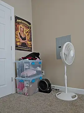 AmethystFoxx - Fuck pussy + fox tail plug
