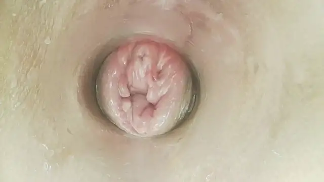 Karol_stom - PLUG MY ASS