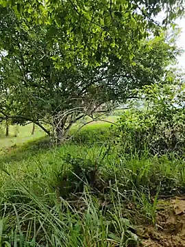 RoomExotic11 - SEX OUTDOOR 🔥