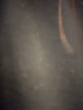 SaintMaya - masturbation+5 pussy slaps🍓💕💕