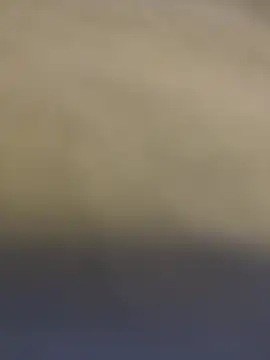 Karlamorris_