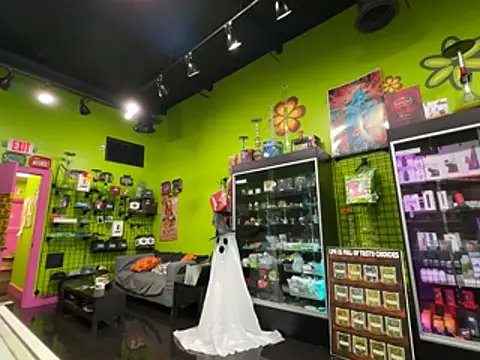 C00k13kat