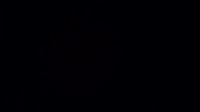 Kellygrace_vg