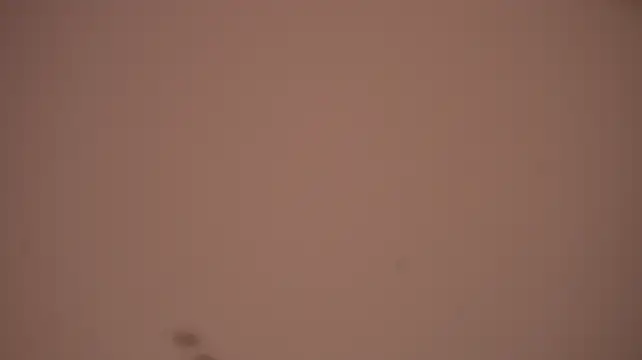 Poisonn_girlll - gravity riding