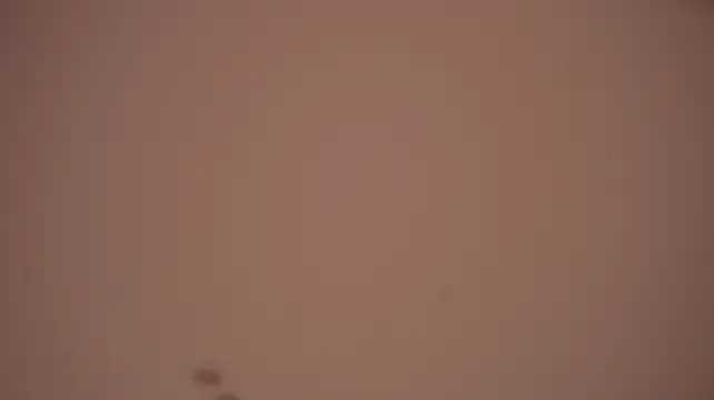 Poisonn_girlll - gravity riding
