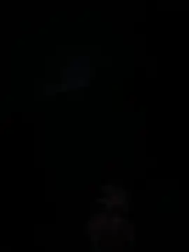 Danja_live - Oil Ass 🍑💦
