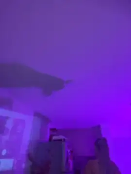 Annabrooks_1 - NAKED+OIL