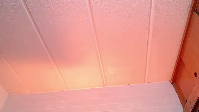 Amy66 - Striptease + blowjob