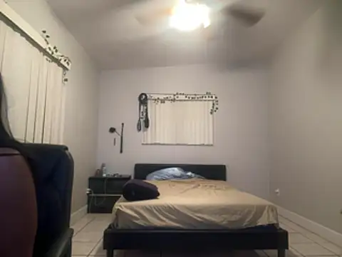 Gator_Zoe - 5 minute blowjob