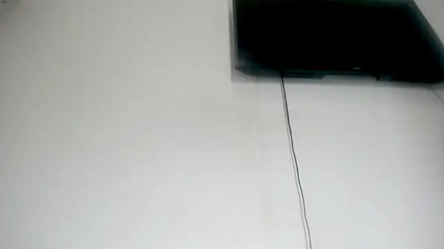 Fox_Loves