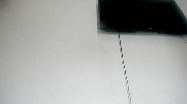 Fox_Loves