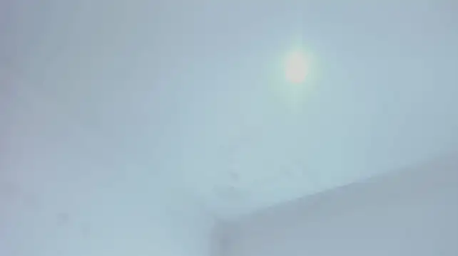 Sweeetcurvyx