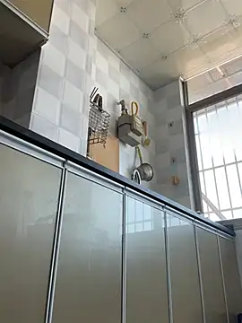 Aiss-niang - 电梯门口假阳具抽插2分钟