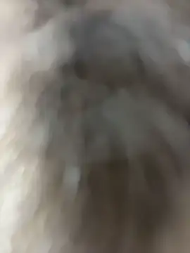 StasyWood - Show dildo🤤