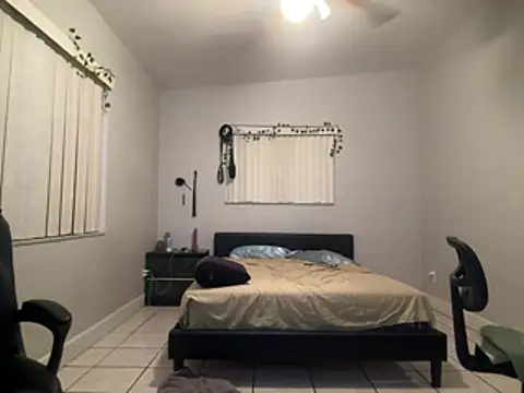 Gator_Zoe - 5 minute blowjob