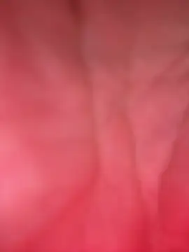 merloth_sub