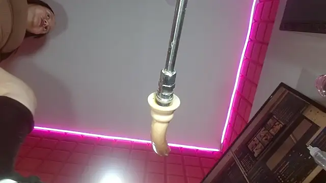 SammyEvans__ - 5 toy