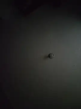 Tokyo_petit - SEXY DANCE