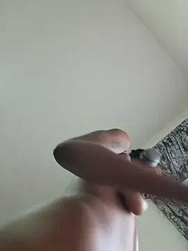 Honeybeespecial