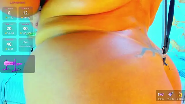 Dulcex69 - OBJETIVO