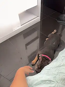 Saracalderon - DILDO IN MY PUSY WET🔥🔥🔥🔥