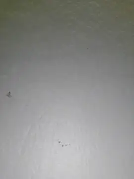 Kimiechanuwu - Squirt