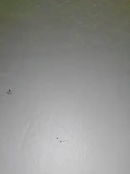 Kimiechanuwu - Squirt