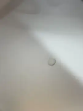 CharlotteAngelss_ - SLOPPY BLOWJOB