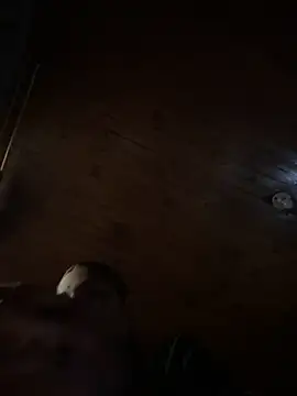 Charlotte_stevenss_