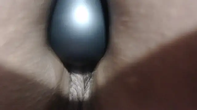 RACHELL__HOT - plug ass