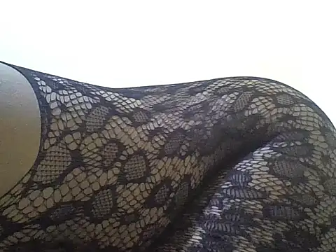 Swt_pie