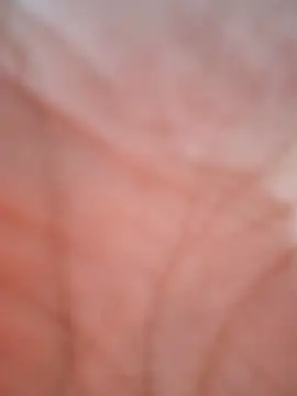 GULACIYAM