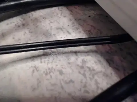 Billiedark_candy