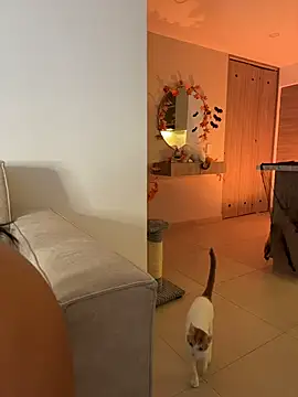 Celeste_Amber - A delicious blowjob👅