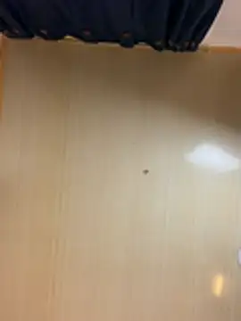 Lilybeeth - Show and open the ass.