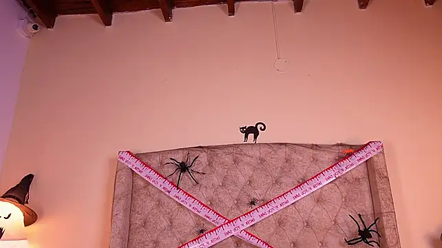 Stefa_rosse - 2 dildos en pussy