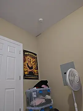 AmethystFoxx - Orgasm & creampie (cumlube)