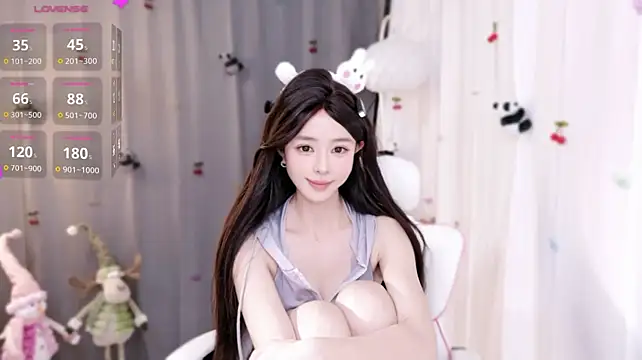 Purrbii - 新的开始