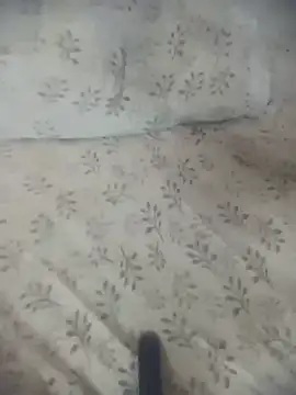 Ishuutelugu