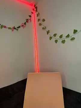 Sarisloves - 🌸Fuck dildo and control lush 10 min