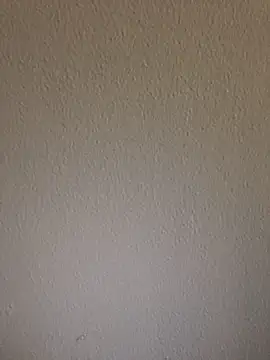 Lara_petit