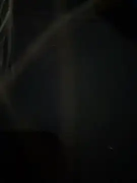 AlyssaFoxx_